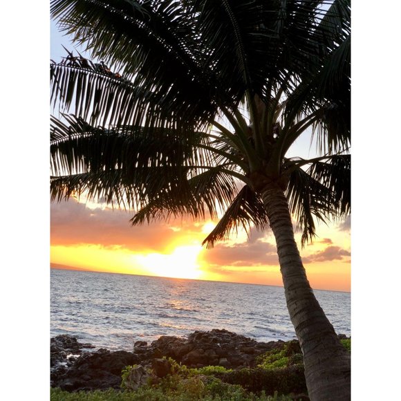 New Starbucks Pineapple Tumbler Hawaiian Exclusive - Picture 7 of 8